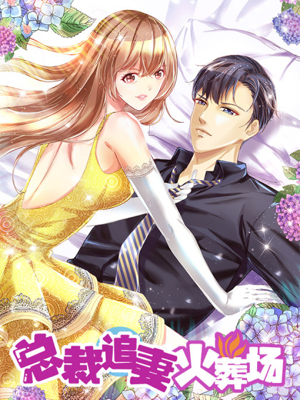 总裁追妻火葬场（总裁追妻记）