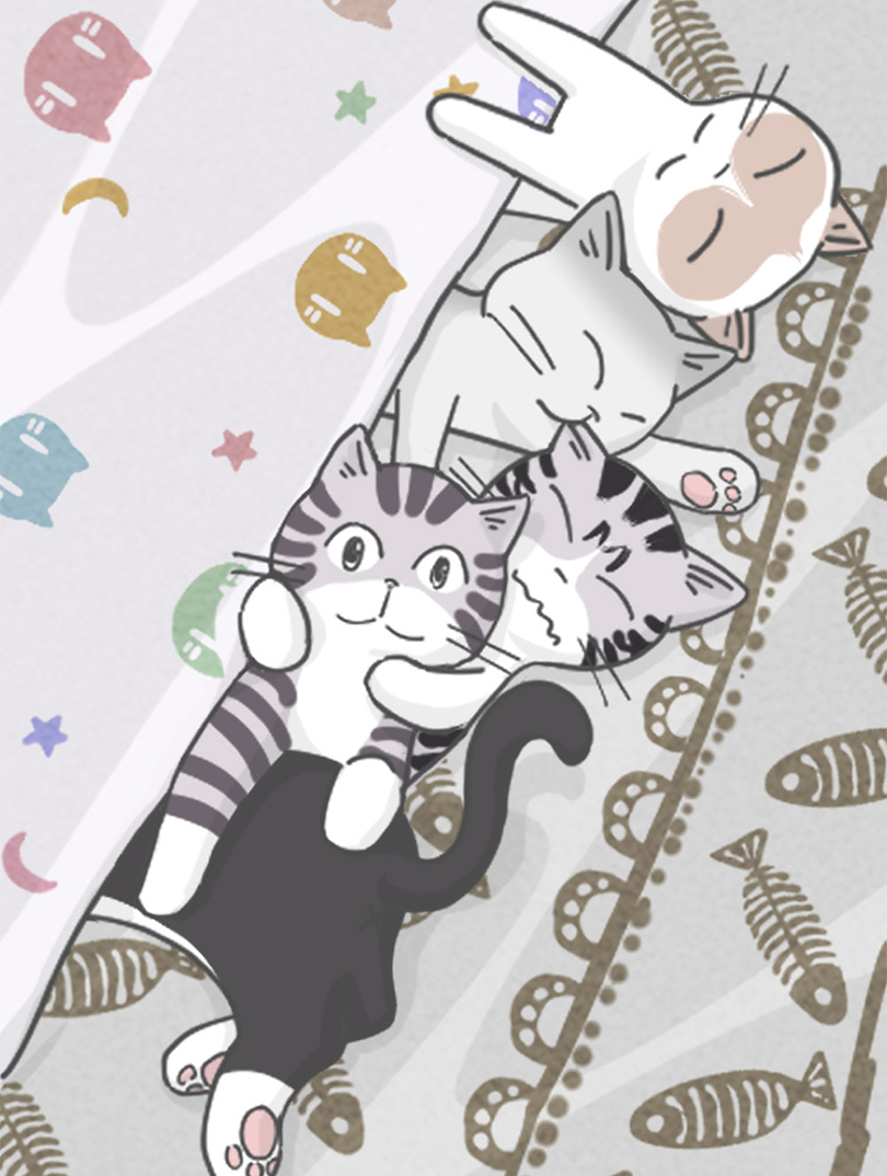 伍拾是只烦人的猫