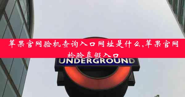 苹果官网验机查询入口网址是什么,苹果官网检验真假入口